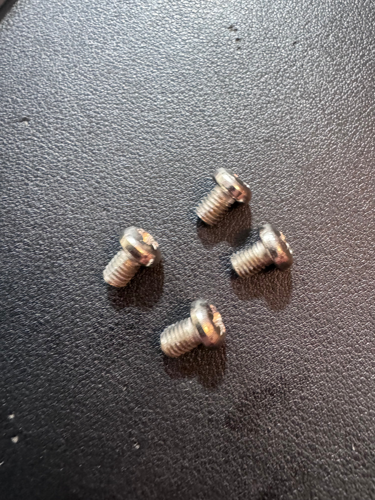 4x GRASS 131 Base Plate 1000 Series Slide-On Screws ONLY